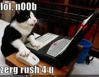 Zerg Rush