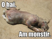 Montauk Monster