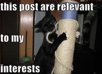 This is Relevant to My Interest