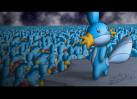 I Herd U Like Mudkips