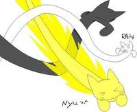 Speedycat