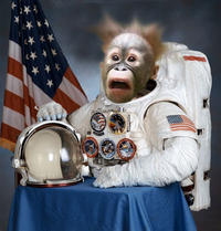 Harmony Central Amp Forum Astronauts!