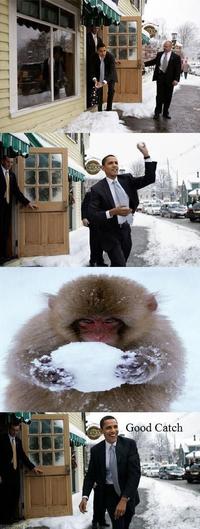 Obama Snowball