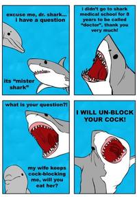 The Singing Shark