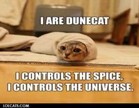 LOLcats