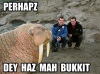 Lolrus