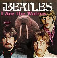 Lolrus