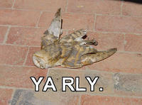 O RLY?