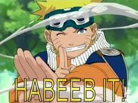 Habeeb It