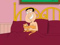 A cat is fine too....