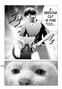 A cat is fine too....