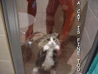 A cat is fine too....