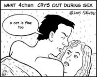 A cat is fine too....
