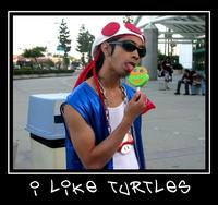 I Like Turtles