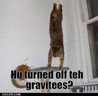 LOLcats