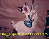 LOLcats