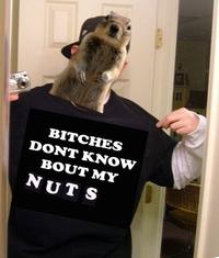 Crasher Squirrel