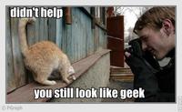 LOLcats
