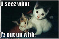 LOLcats