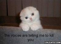 LOLcats