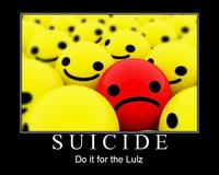 I Did It for the Lulz