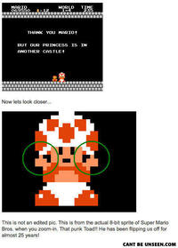 What Has Been Seen Cannot Be Unseen