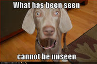 What Has Been Seen Cannot Be Unseen