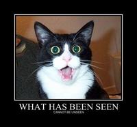 What Has Been Seen Cannot Be Unseen