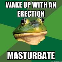 Foul Bachelor Frog