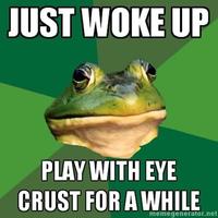 Foul Bachelor Frog