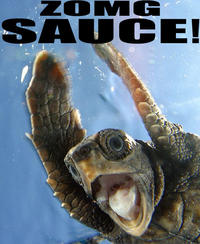 Sauce