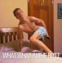 Whatwhat