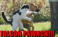 Falcon Punch