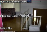 Monorail Cat