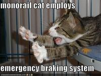 Monorail Cat