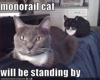Monorail Cat