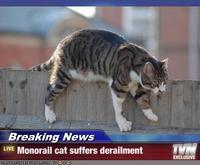 Monorail Cat
