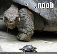 Noob