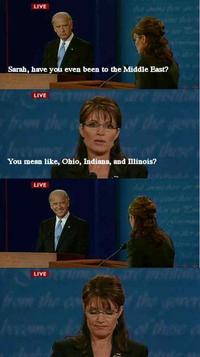 Biden / Palin Debate 4pane