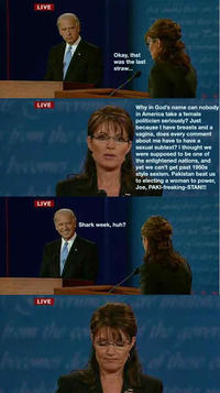 Biden / Palin Debate 4pane