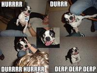 DERP