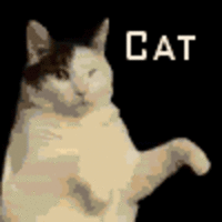 Kitty Cat Dance