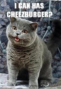 Happy Cat