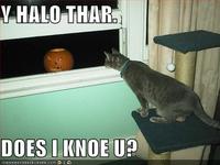 Y helo thar