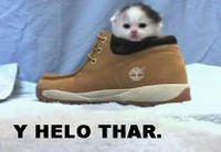 Y helo thar