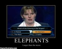 Gameshow Exploitables