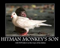 Hitman Monkey