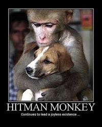Hitman Monkey