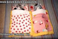 Itteh Bitteh Kitteh Committeh