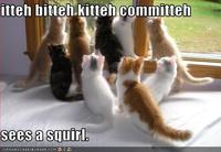 Itteh Bitteh Kitteh Committeh